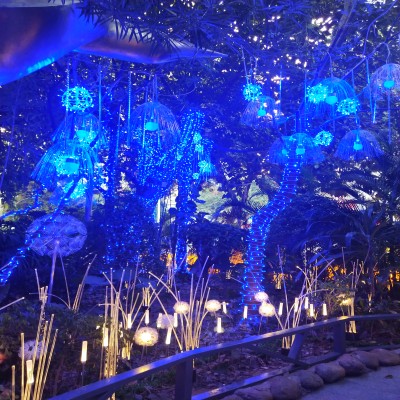 outdoor lighting landscape decorative garden led fiber optic lamp