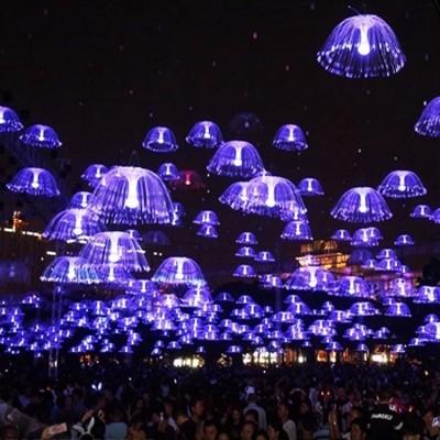 Fiber Optic Lighting Application